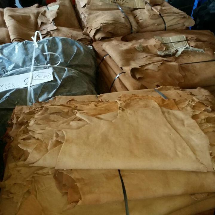 Goat vegetable color camel 