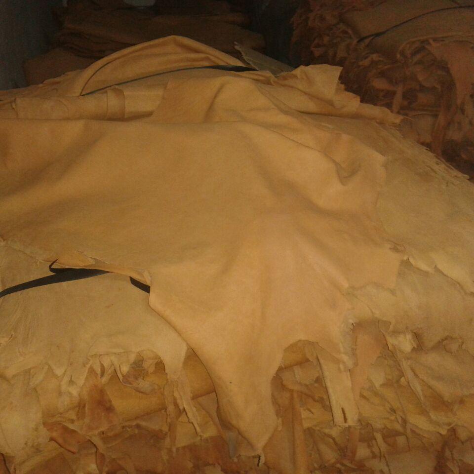 Goat vegetable color camel