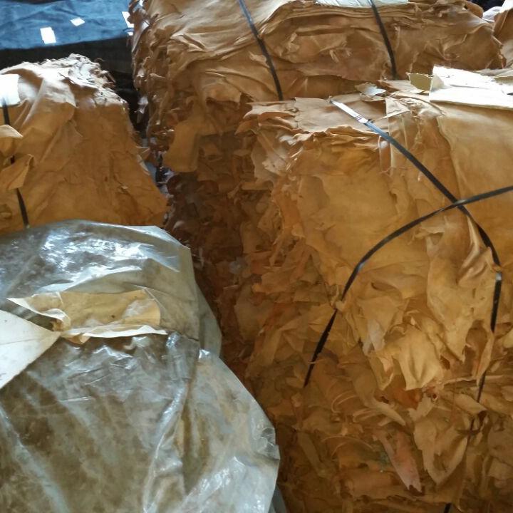 Goat vegetable color camel